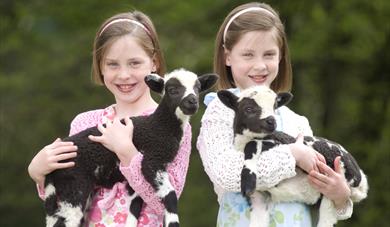 Junior Animal Keeper Day