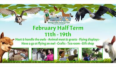 Half Term at Herrings Green Farm