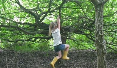 Family Fun in the Woods