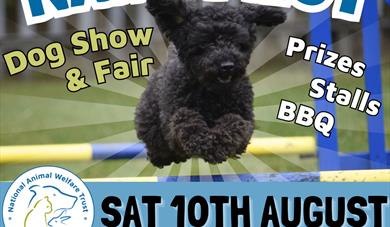 NAWT Fest - Dog Show and Fete