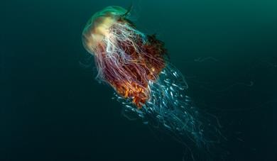 British Wildlife Photography Awards Exhibition