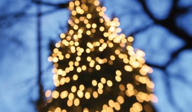 Light Up A Life