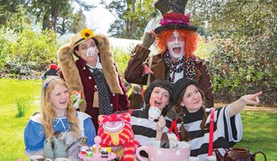 Mad Hatter's Tea Party