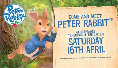 Peter Rabbit