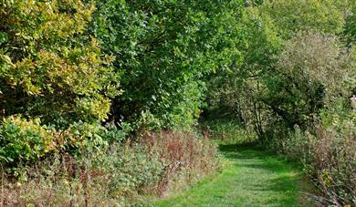 Rectory Ramble Guided Walk