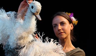 The Goose who Flew