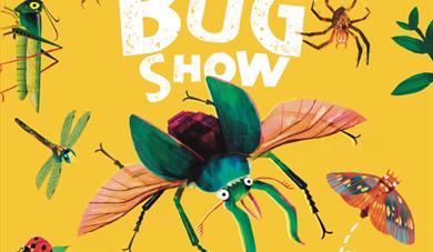 The Great Big Bug Show