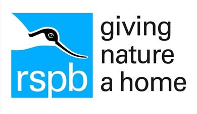 Warm Up for the RSPB's Big Garden Birdwatch.