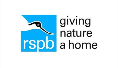 Wildlife of The Lodge - in Watercolour