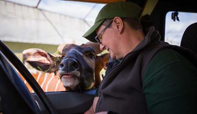 Bongo Charity Weekend