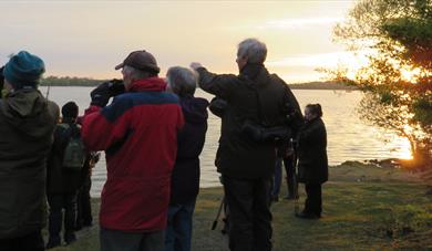 Later dawn chorus bird walk