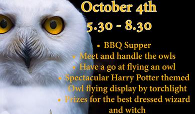 Harry Potter Themed Evening with Owls