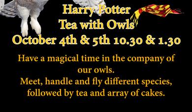 Harry Potter Tea with Owls