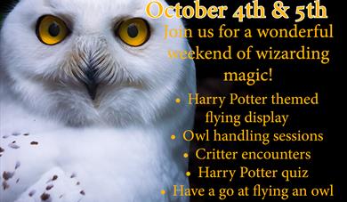 Harry Potter Wizard Weekend