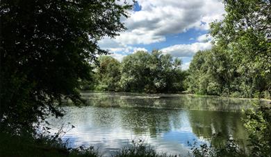 Priory Country Park