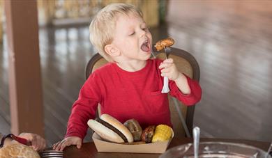 Safari and family BBQ