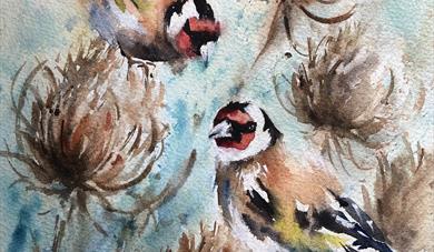Watercolour Painting - 1 Day Workshop - Goldfinch & Teasels with Nicky Hunter