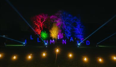 Stockwood Illuminated