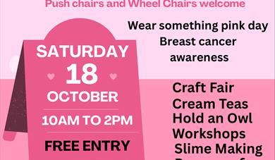 Splash of Pink Craft Fair Fun Day