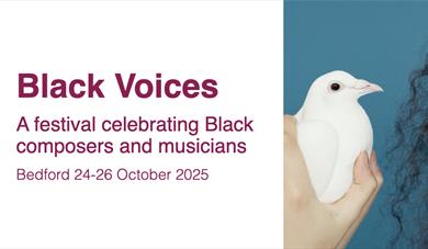 Black Voices