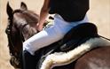 Sunshine Riding School