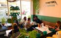 Monstera Canteen