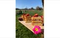cake in the sunshine