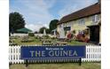 The Guinea