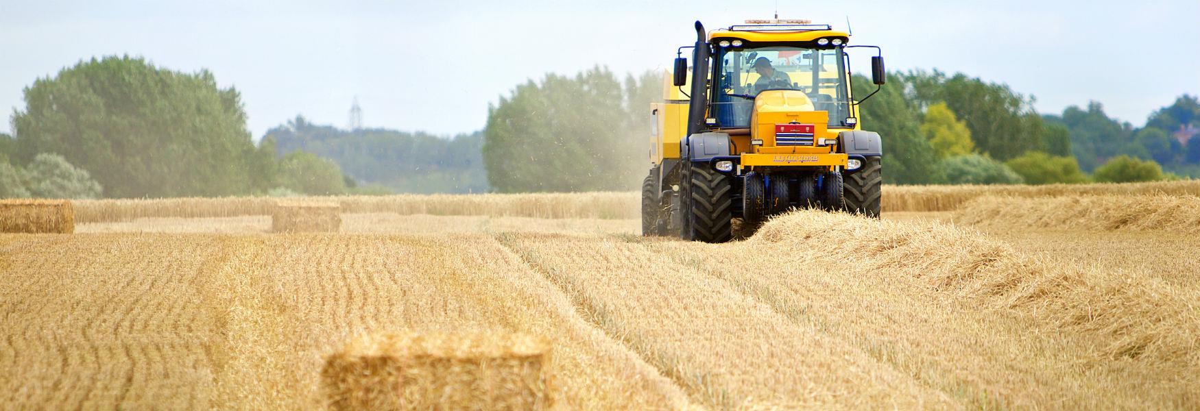 Bedfordshire countryside