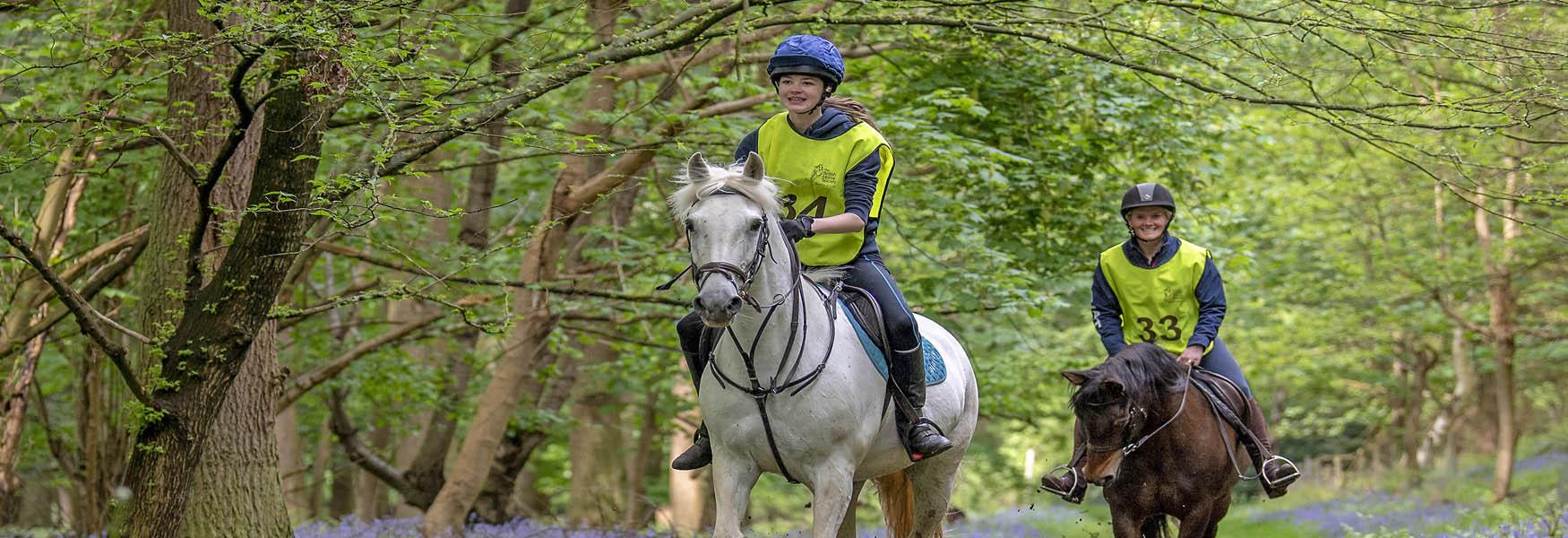 horse riding Greensand Country
