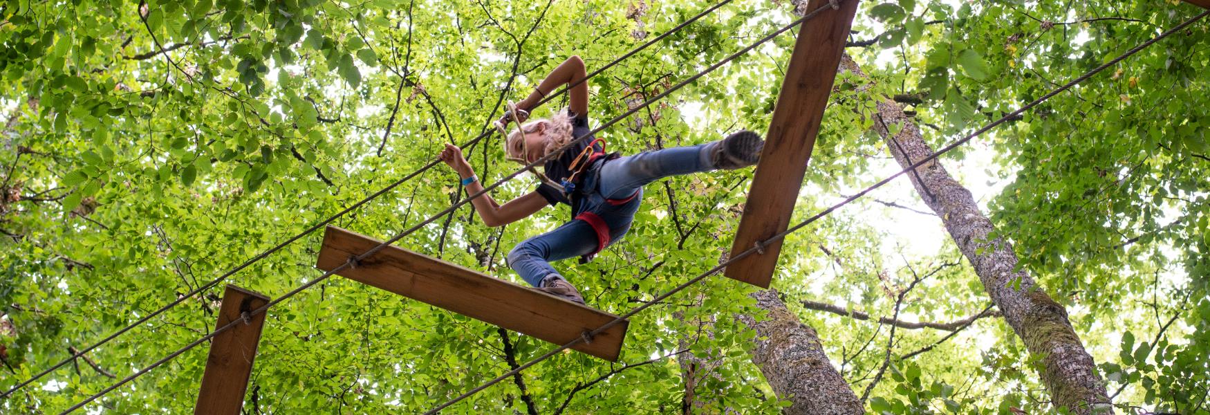 image shows tree tops