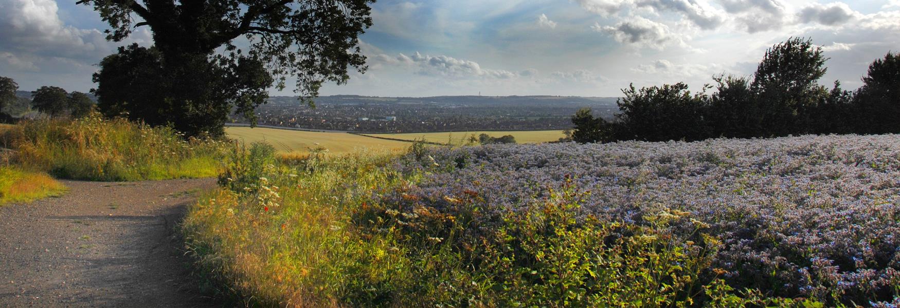 views across luton