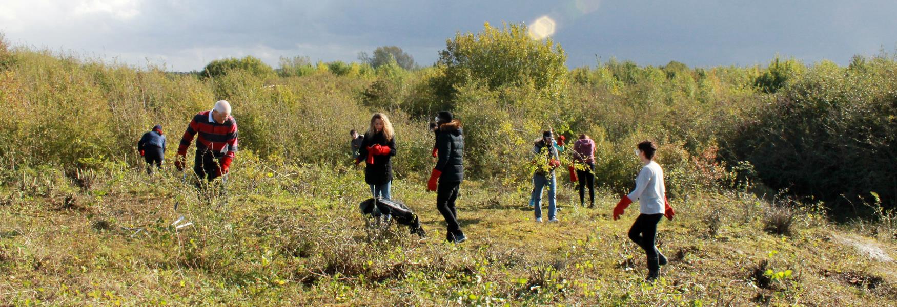 Marston Vale team building