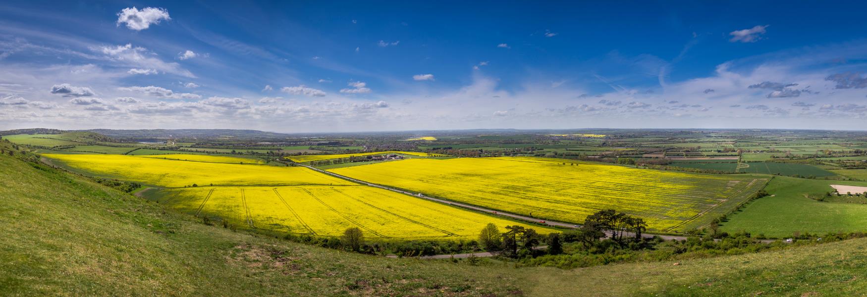 field in bedfordshire
