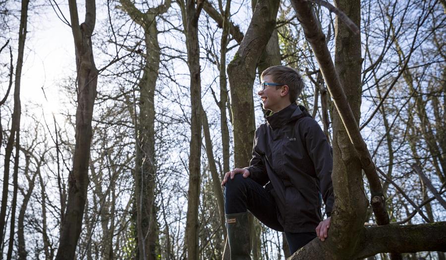 Tremendous Trees - and how to grow them
