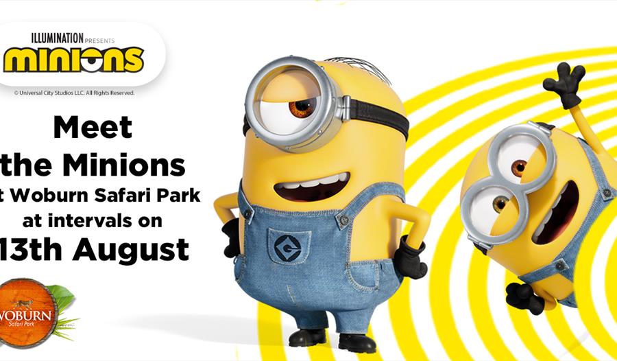 Meet the Minions at Woburn Safari Park on Sunday 13th August!