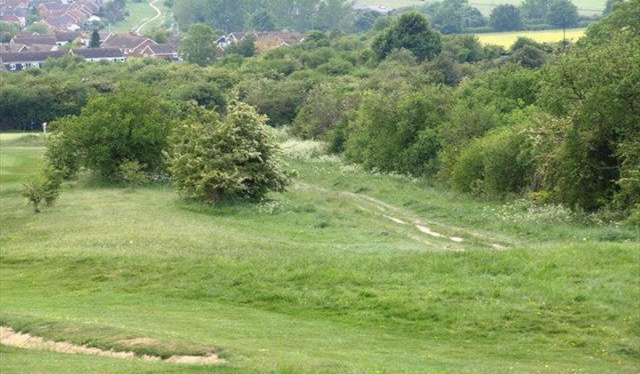 Dray's Ditches