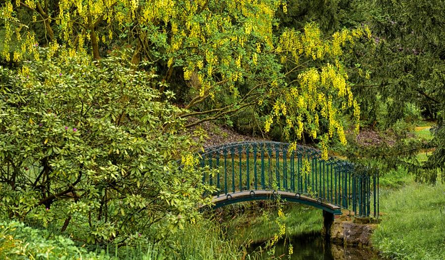 'Bring a Picnic' Bank Holiday Garden Tours