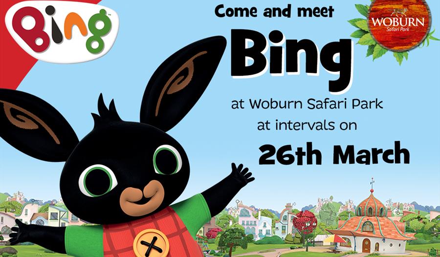 Come and meet Bing at Woburn Safari Park
