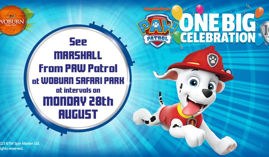 Meet Marshall from PAW Patrol at Woburn Safari Park on Bank Holiday Monday!