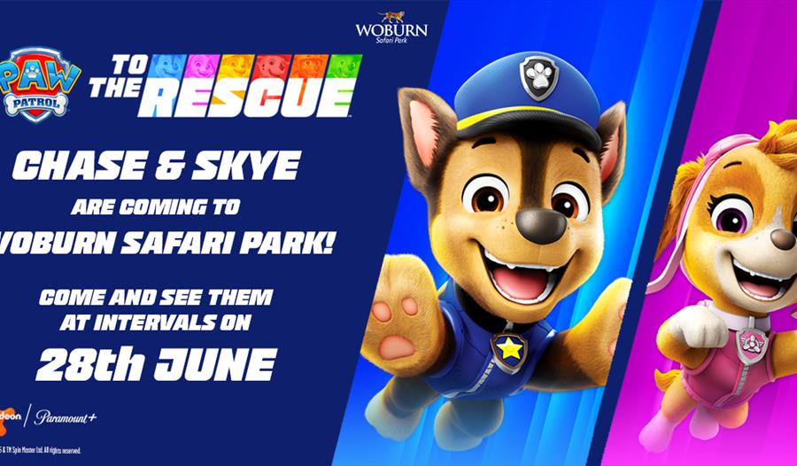 See Chase and Skye at Woburn Safari Park!