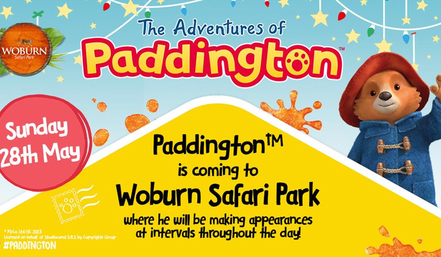 Meet Paddington at Woburn Safari Park!