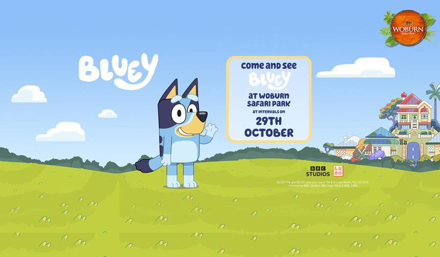 Come and meet Bluey on the 29th October!
