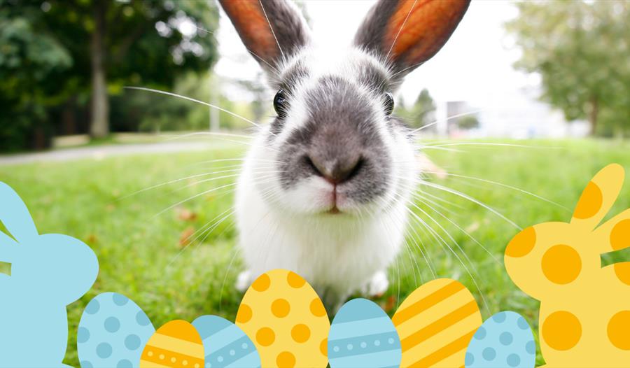 easter activity trail