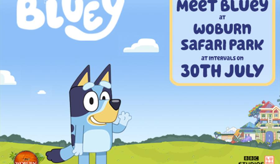 Meet Bluey at Woburn Safari Park on Sunday 30th July!