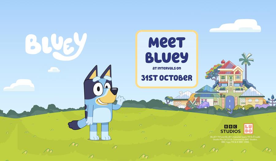 Come along and meet Bluey on the 31st October!