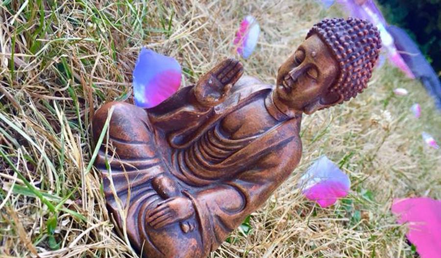 Yoga & Meditation Practice