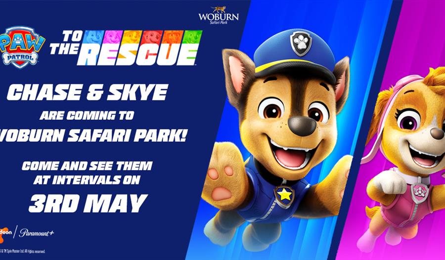 See Chase and Skye at Woburn Safari Park