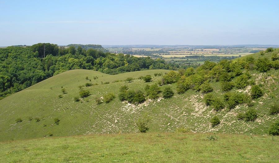 Barton Hills