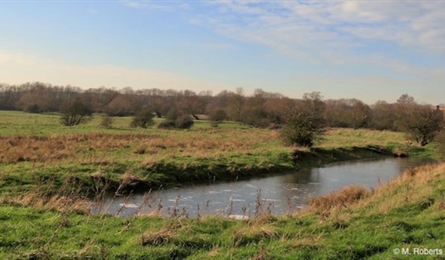 Walk in Monks' Footsteps at Warden Abbey Vineyard